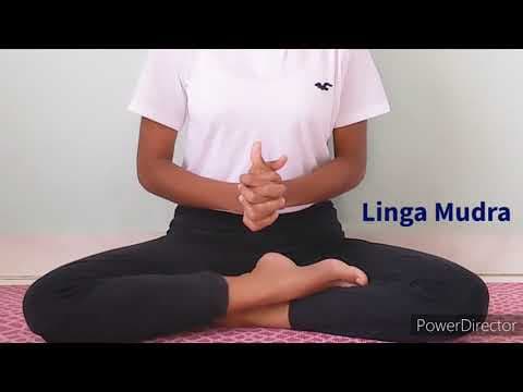 Linga mudra - how to do linga mudra - benefits & contraindications of linga mudra