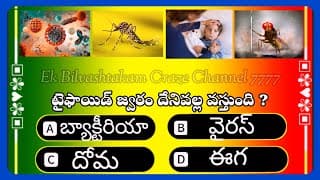 Best Top10 interesting knowledge In Telugu। educational videos
