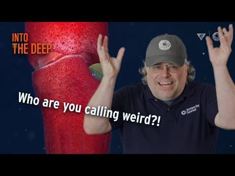Why Do Deep-Sea Animals Look So Weird? | Monterey Bay Aquarium's Into The Deep