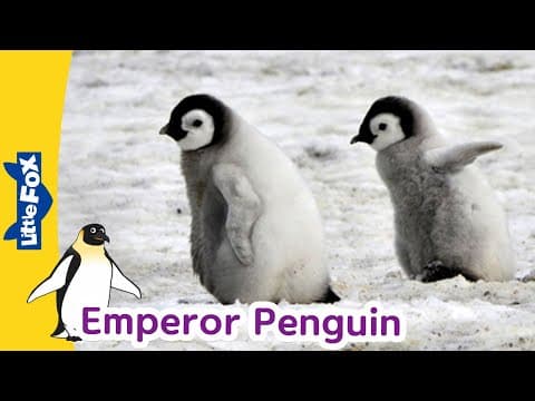 Meet the Animals-Emperor Penguin-Birds-Stories for Kindergarten