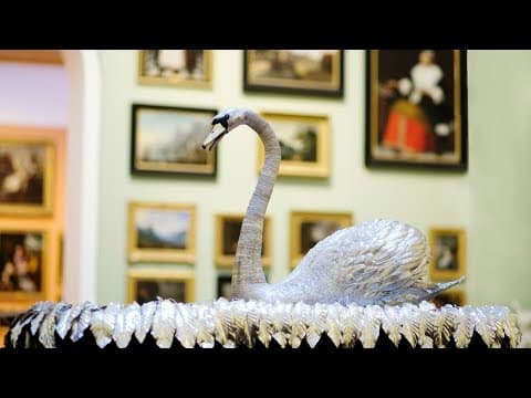 Horn Shark vs Angel Shark