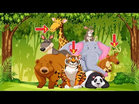 Puzzle Hub - Video 4