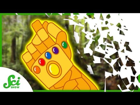 About That Snap… - YouTube