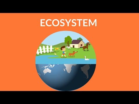 What is an ecosystem - ecosystem video for kids - ecosystem types