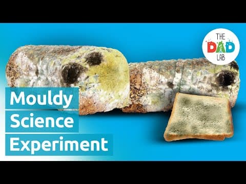 Mouldy Bread Science Experiment