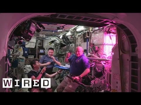 Astronauts Eat First Space Grown Salad - YouTube