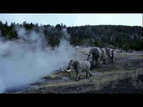 Woolly Mammoth And Other Ice Age Animals