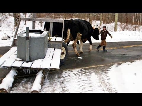 Teaching grit cultivates resilience and perseverance