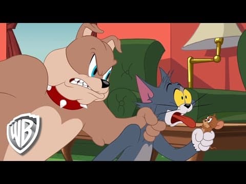 Tom and Jerry|Foolish Tom