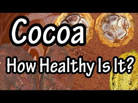 Cocoa - What is Cocoa processed with Alkali - Cocoa Beans And Cocoa Butter