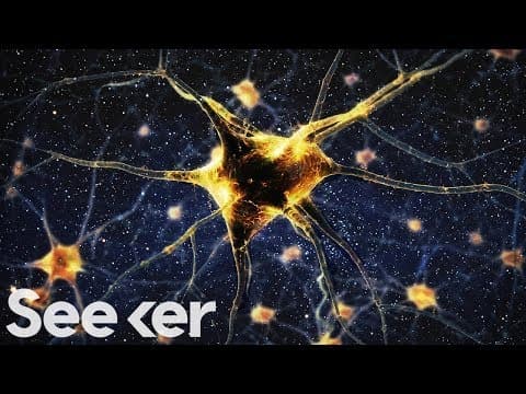 Space Is Dangerous! Just Look at What It Does to Astronauts’ Brains… - YouTube