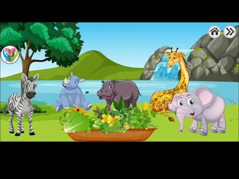 Herbivore Animals Feeding - Animals Eat Fruits and Plants