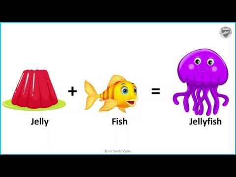 Compound Words - Compound Word Activity