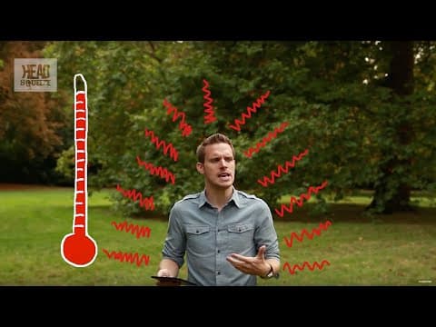 Why Do You Get A Fever