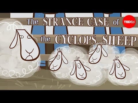 The strange case of the cyclops sheep - Tien Nguyen