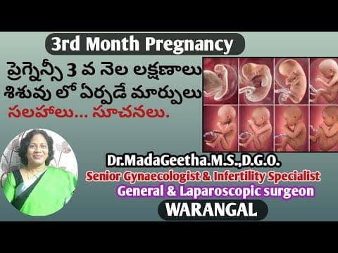 3 వ నెలలో గర్భిణి స్త్రీలో, శిశువు లో ఏర్పడే మార్పులు - తీసుకోవాల్సిన జాగ్రత్తలు - pregnancy tips