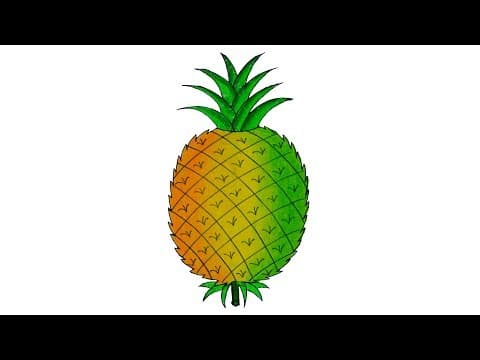 How to Draw a Pineapple step by step, pineapple Drawing for children