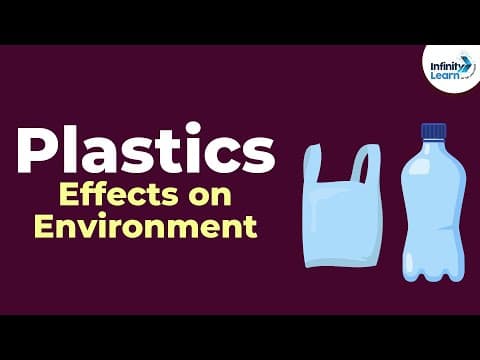 Does Plastic Harm the Environment? | Don't Memorise