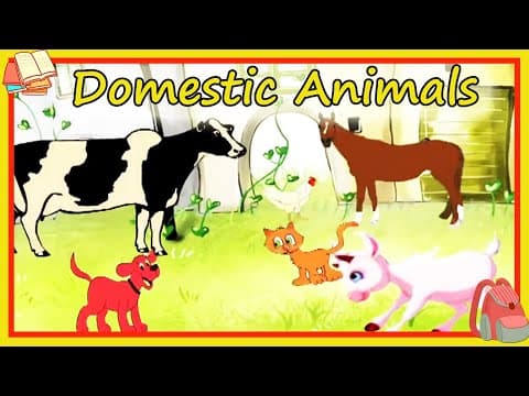 Learn About Domestic Animals - Preschool Learning For Kids - Educational Video For Children