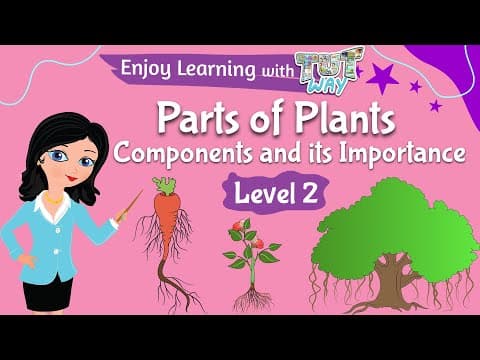 Parts of Plants & Functions | Science
