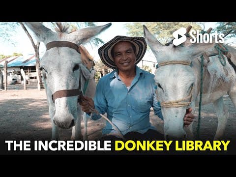 Donkey library for everyone