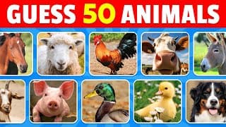 Guess 50 Farm Animals in 3 Seconds