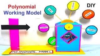 polynomial working model -tlm - maths tlm project - diy