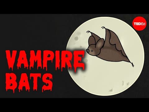 Are vampire bats dangerous? - Imran Razik - YouTube