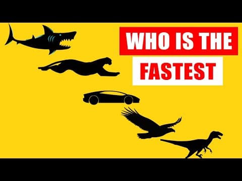 Speed Comparison: World's Fastest Animals