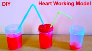 heart pump working model for science exhibition project | DIY at home