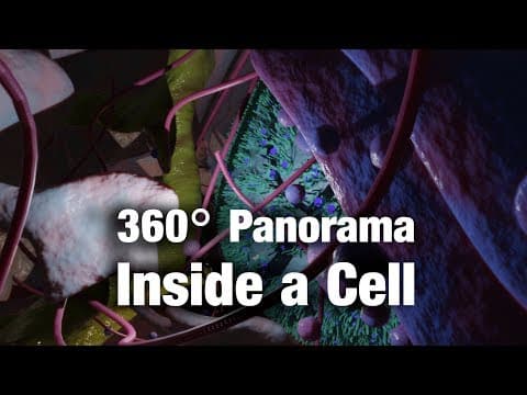 Panorama inside a cell