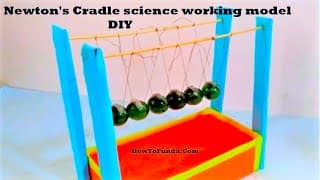 newton's cradle science working model | DIY