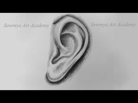How to Draw Ears / Side View / Pencil Shade Detailed step by step for beginners