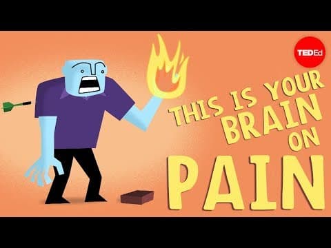 How does your brain respond to pain?-karen d. davis