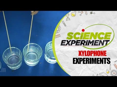 Science Experiment - 44 | Xylophone Experiment | Chemistry Experiment