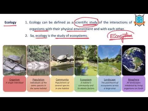 What is Ecology? || Ecology అంటే ఏమిటి?