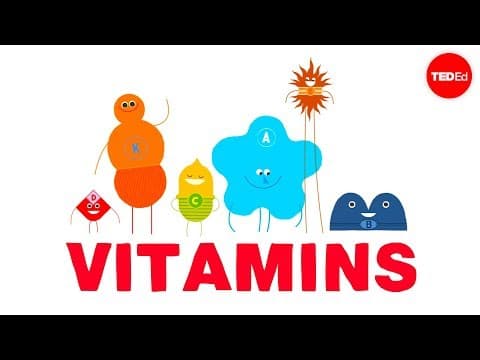 How do vitamins work? - Ginnie Trinh Nguyen - YouTube