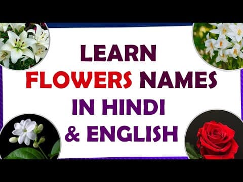 Learn flowers in hindi and english - spoken hindi through telugu