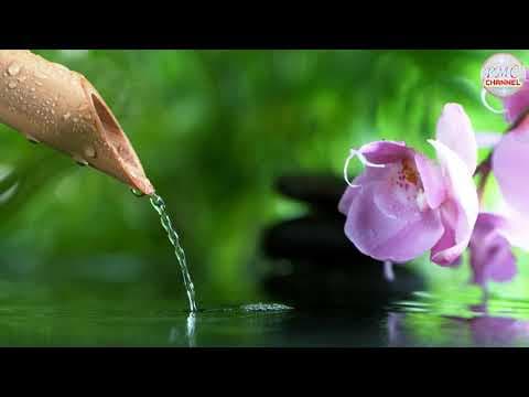 Bamboo water fountain - best relaxing music for mother and baby