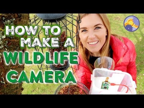 How to make a Wildlife Camera using a Raspberry Pi
