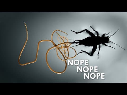 These Parasites make Real World Zombies