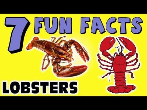 7 FUN FACTS ABOUT LOBSTERS! LOBSTER FACTS FOR KIDS! Ocean! Sea Life! Learning Colors Fun Sock Puppet