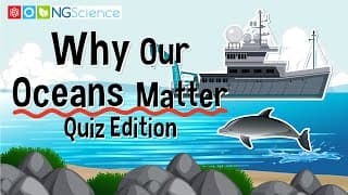 Why Our Oceans Matter
