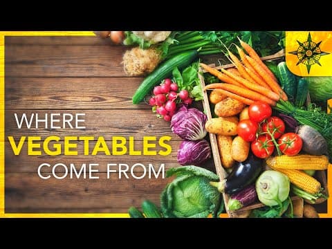 The geography of vegetables