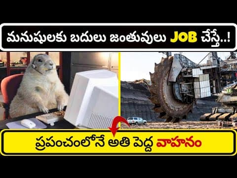 Top 10 Interesting Facts In Telugu | Episode 14 | Facts In Telugu new | Facts Telugu