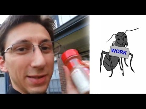 Cinnamon and ants - signaling and communication