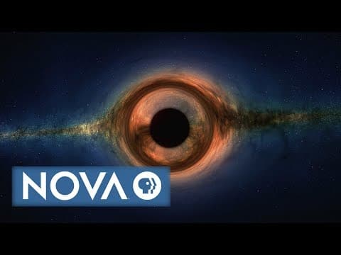 Four Types of Black Holes