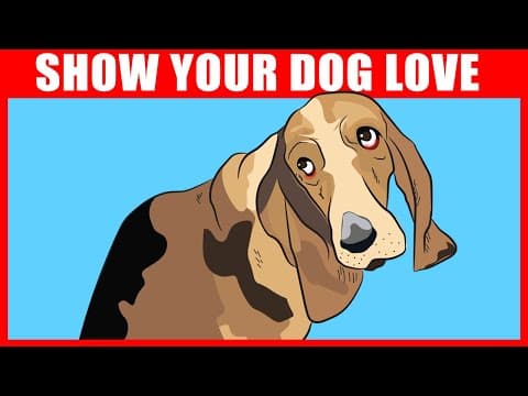 9 Ways to Tell Your Dog You Love Them