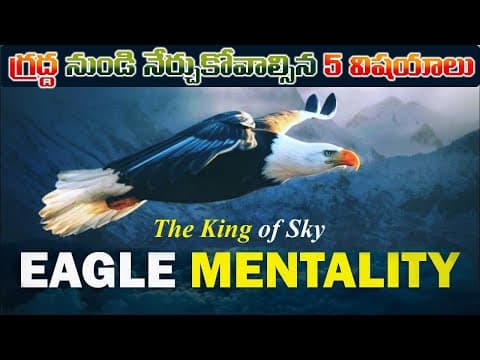 EAGLE : ధైర్యానికి నిదర్శనం . Eagle Attitude - 5 Life Changing Lessons | Best Motivational video