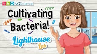 Lighthouse Lab – Cultivating Bacteria!